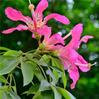 pg电子娱乐·(中国)游戏平台app下载